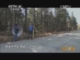 远方的家 百山百川行 第一百六十八集 长白山:火山下的秘密 《远方的家》 20131224