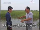 今日说法 小撒印象 9