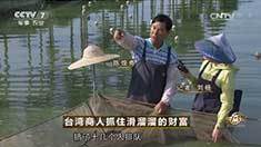 致富经 [致富经]台湾商人抓住滑溜溜的财富 20160920