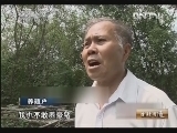 生财有道 《生财有道》 20130711 与动物亲密接触——带刺的“猪”好赚钱