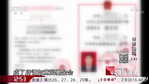 今日说法 《今日说法》 20190612 特殊“会长”（下）