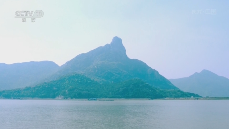 《地理·中国》 20260320 海岸线上的风景19