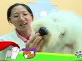 狗狗日记 第224天 Alpha好瘦唷