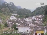 远方的家 《远方的家》 20150110 北纬30°·中国行（26） 山里山外品池州