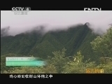远方的家 百山百川行 第六十五集 走上“自然国心”鸡心岭《远方的家》 20130719