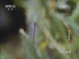 动物世界 《动物世界》 20160217 超级猎手（四）