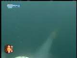 今日亚洲 今日亚洲 2010-05-20