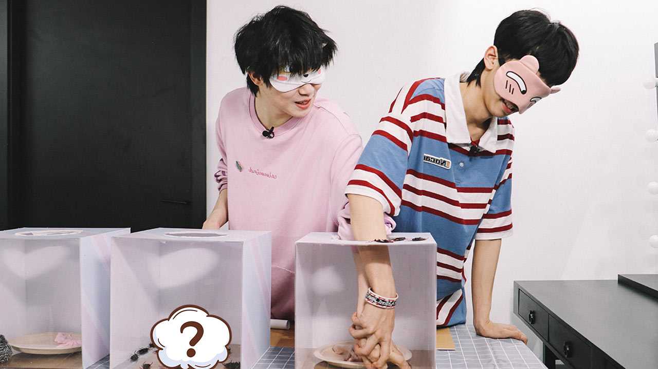 第23期：王舜禾杨润泽密室寻宝