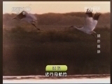 地理中国 《地理中国》 20140811 隐形威胁