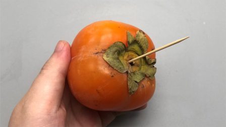 柿子上插一根牙签太厉害了，可惜知道的人太少，看完视频长见识了