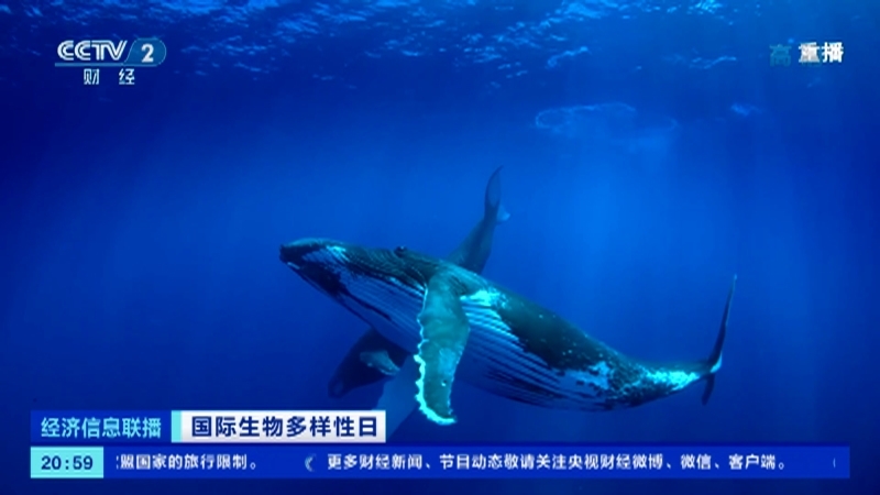 《经济信息联播》 20210522