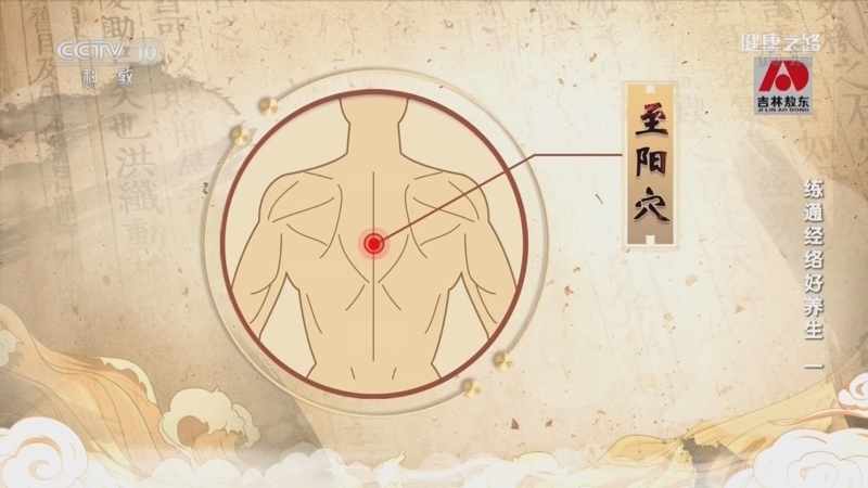 健康之路 《健康之路》 20220808 练通经络好养生（一）