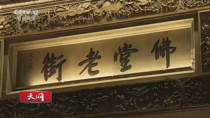 《天网》 20261030 迷途知返