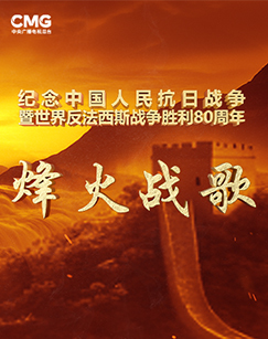 烽火战歌 海报