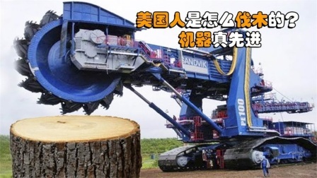 美国人是如何伐木的？全自动机械化，这样的机器靠谱吗