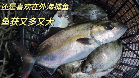 南澳岛赶海日记 彪哥还是喜欢在外海捕鱼，因为渔获是又多又大，随便一条都要上斤