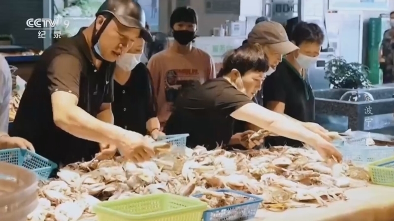 《海定波宁》 第4集 人海相依