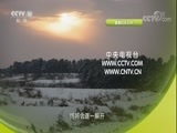 探索发现 《探索发现》 20180211 2017考古进行时 信阳楚国大墓（下）