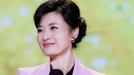 周涛否认孩子患自闭症 离开央视和女儿无关