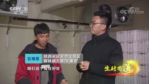 生财有道 《生财有道》 20191120 陕西延安：增收致富金苹果