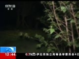 法治在线 《法治在线》 20180807
