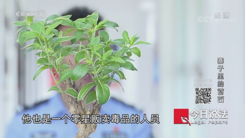 今日说法 《今日说法》 20201026 寨子里的“首富”