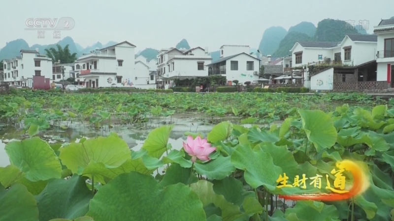 生财有道 《生财有道》 20220531 石头炉 花瓣盘 美味财