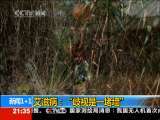 新闻1+1 艾滋病：“歧视是一堵墙”