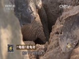 致富经 《致富经》 20160126 “龟痴”发龟财