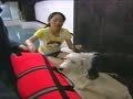 狗狗周记第一季 狗狗週記 第一季19