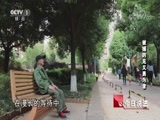 今日说法 《今日说法》 20180815 被捕的见义勇为者