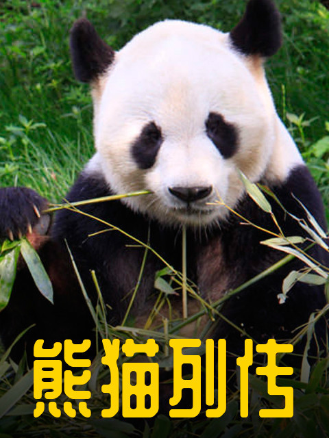 熊猫列传 海报