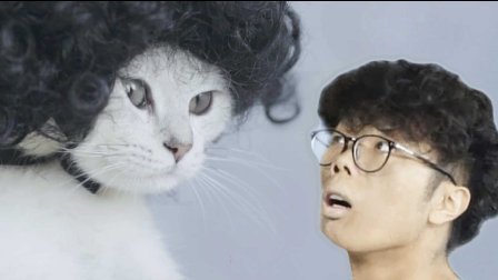 有梗 第二季 喵星人密商征服人类计划 07