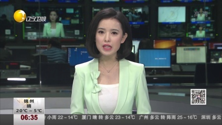 第一时间 女子收养流浪狗 被闻出皮肤癌救回一命