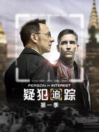 疑犯追踪第一季