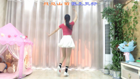 精选广场舞《DJ疯狂爱一回》16步正面演示