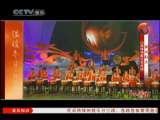 风华国乐 风华国乐 2010年 第313期