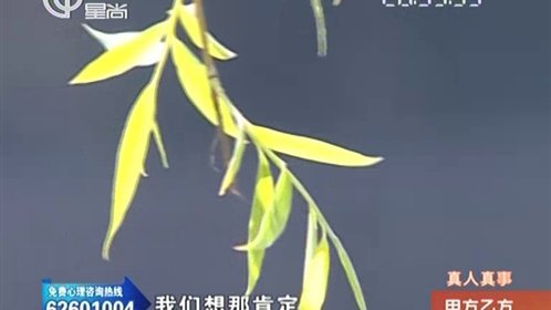 甲方乙方 到底儿子是不是我亲生的