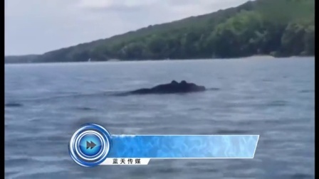 蓝天娱乐快报 2016 7月 美国大叔在湖上划艇遇奇怪生物 近看竟然是 160721