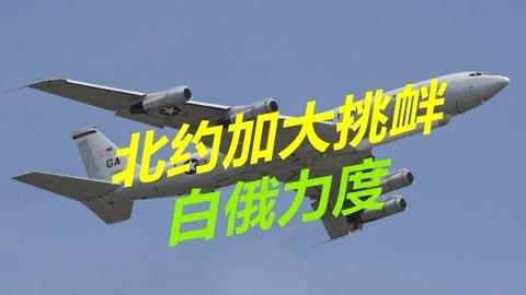 北约加大挑衅力度，大批军机轮番抵近铁杆盟友，俄罗斯也有心无力