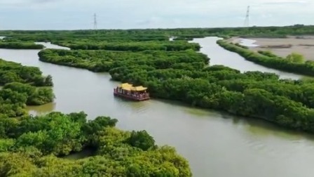 我们·海岸卫士（上）