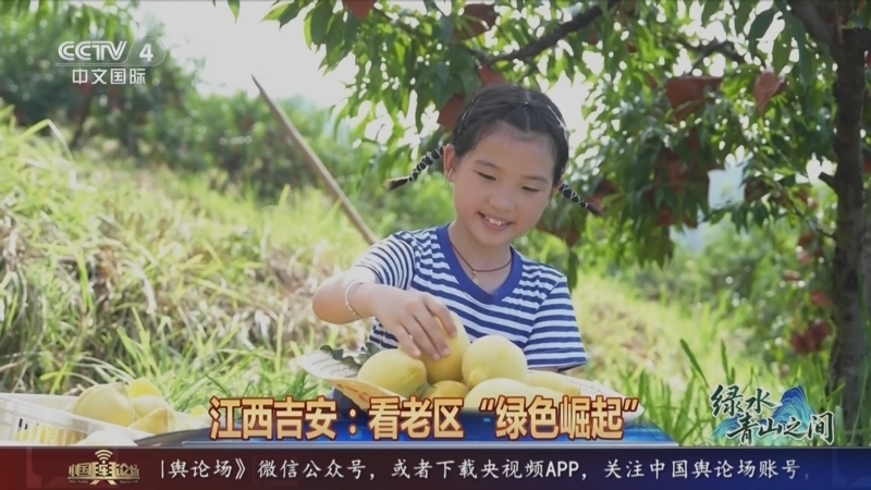 《中国舆论场》 20250817