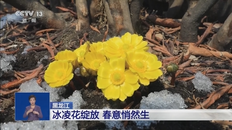 共同关注 《共同关注》 20260327