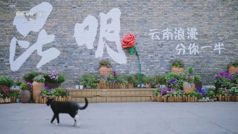 《城市风华录》 20250719 昆明