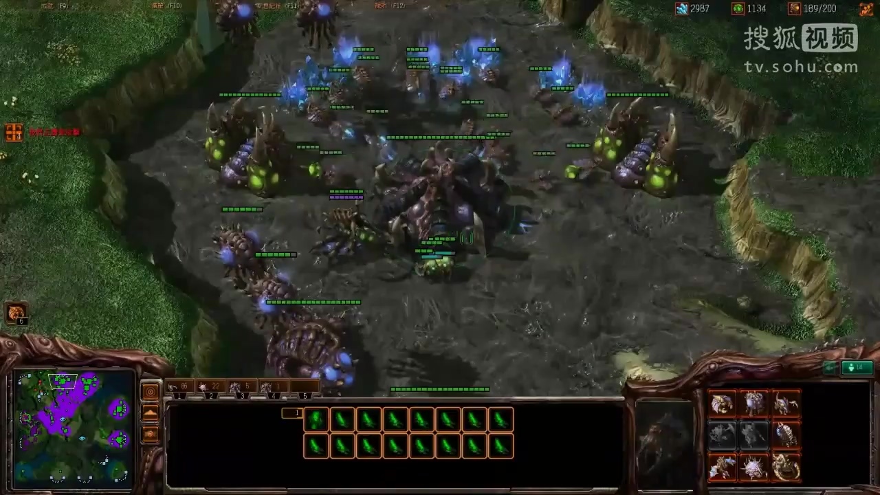 星际争霸2教学课堂:新手虫族速狗转飞螳