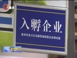 重庆新闻联播 《重庆新闻联播》 20170611