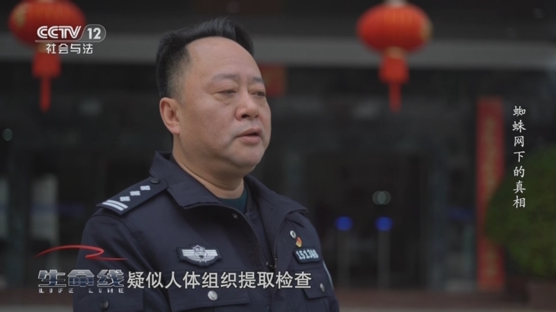 生命线 《生命线》 20240729 蜘蛛网下的真相