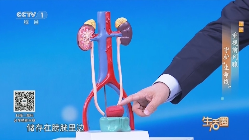 生活圈 《生活圈》 20260522 重视前列腺 守护“生命线”