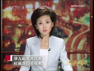 海峡两岸 海峡两岸 2008年 第336期