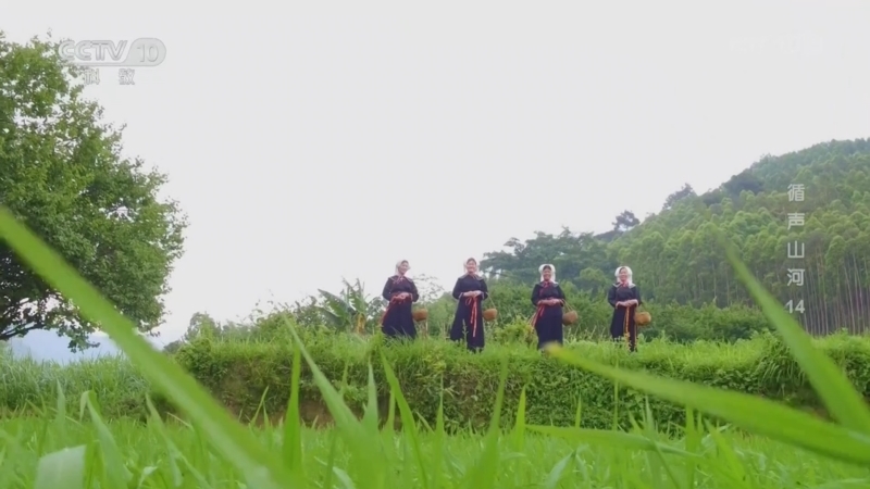 地理中国 《地理·中国》 20260508 循声山河14